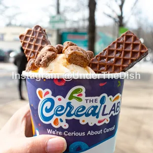 a hand holding a cup of ice cream