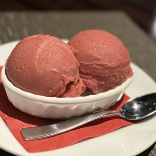 Raspberry sorbet