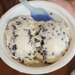 8&apos;19&apos;2022 Mint Chocolate Chip Double Scoop.