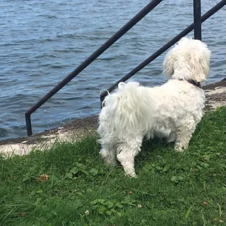 Ella W.