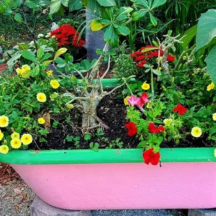 a planter filled with flowers