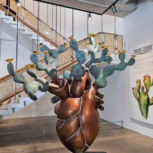 Heart Cactus