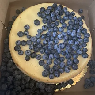 Unwashed blueberries thrown on top of hard cheesecake