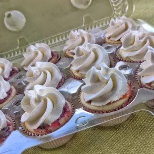 Mini Cheesecake Bites