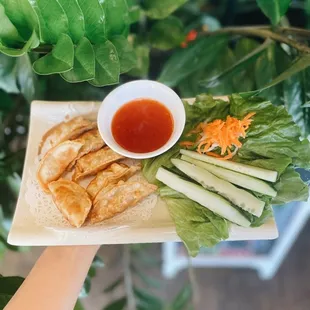 Pork &amp; Vegetable Dumplings