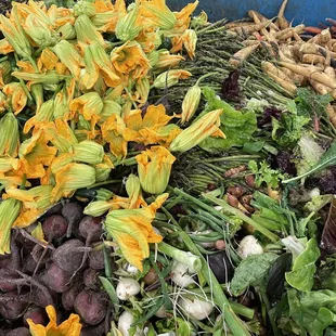 The Chef's Garden