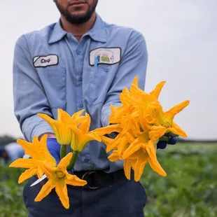 The Chef's Garden Squash with bloom