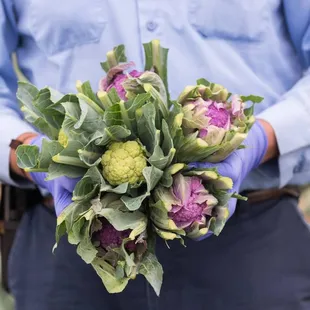 The Chef's Garden Cauliflower variety