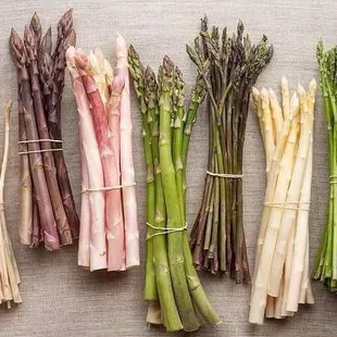 The Chef's Garden spring Asparagus