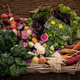 The Chef's Garden fall harvest