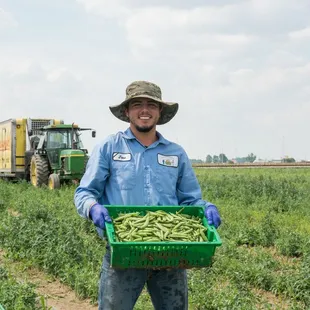The Chef's Garden fall English Pea harvest