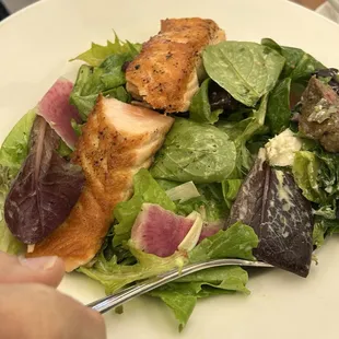 seared salmon salad with mixed greens, fingerling potatoes, green goddess dressing $14