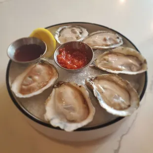 Oysters