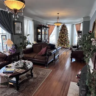 Living Room (open to all guests)