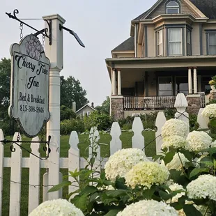 Mounds of white hydrangeas welcome you all summer &amp; fall.