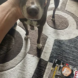 This is her service tag