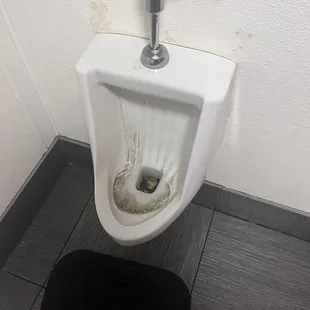 urinal