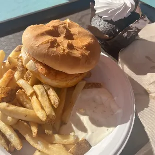 Cold fries Nasty &quot;hot&quot; chicken sandwich with a stale bun. Condiments not refilled/ trash not emptied at this location.