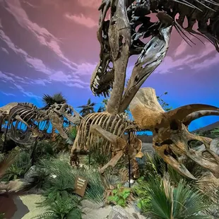 Dinosphere Exhibit