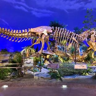 The new Dinosphere