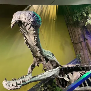 Rawr