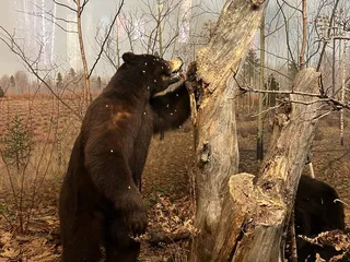 Milwaukee Public Museum