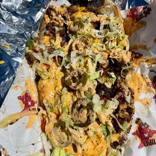 Bison Steak n Cheese