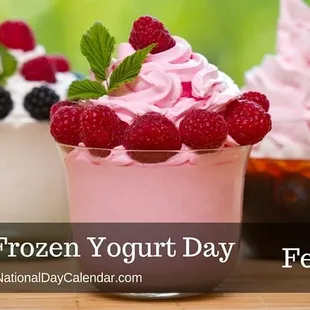 National Frozen Yogurt Day! #shoplocal  #buylocal