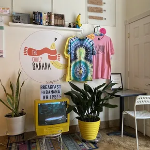 a room with a television and a potted plant