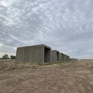 Beauty in the desert.