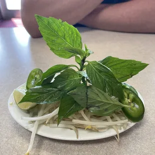 food, noodle dish, ramen, ramen and noodles, noodle soup, noodles