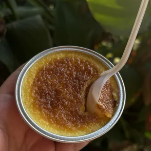 Creme Brulee