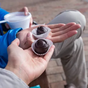 a hand holding a chocolate cupcake