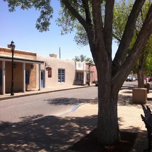 a tree in the middle of the street