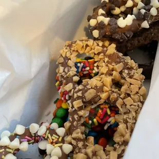 The Chocolate Moose