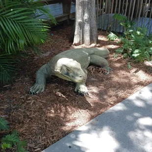 Monitor lizard statue