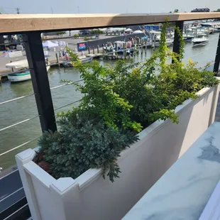 Tableside view