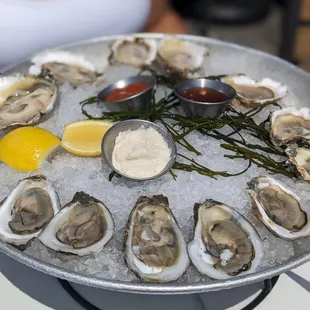 shellfish, oysters, mussels, food, oysters and mussels