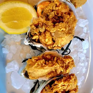 Fried Oysters