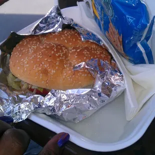 Buffalo Burger combo