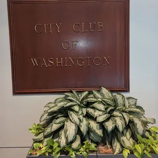 CITY CLUB OF WASHINGTON