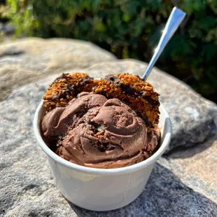 Samoa ice cream with Girl Scout cookies!