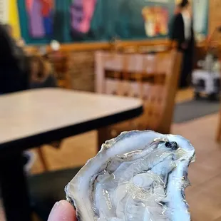 Oyster in a half shell