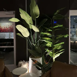 sushi and sashimi, interior