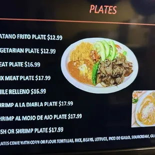 Plates. Spring, 2024