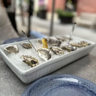 a tray of oysters and a glass of wine