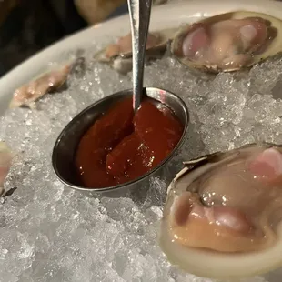 Fresh delicious Long neck clams