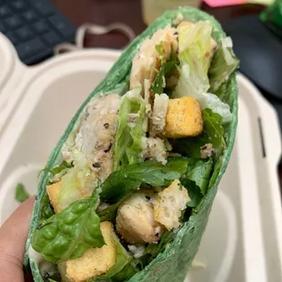 Chicken Caesar Wrap