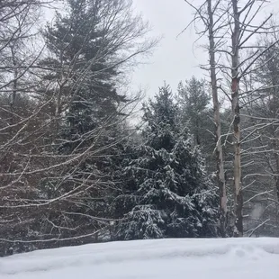 burritos and wraps, outside