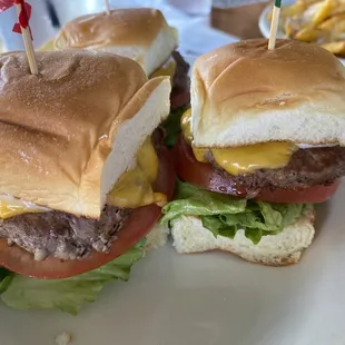 Sliders